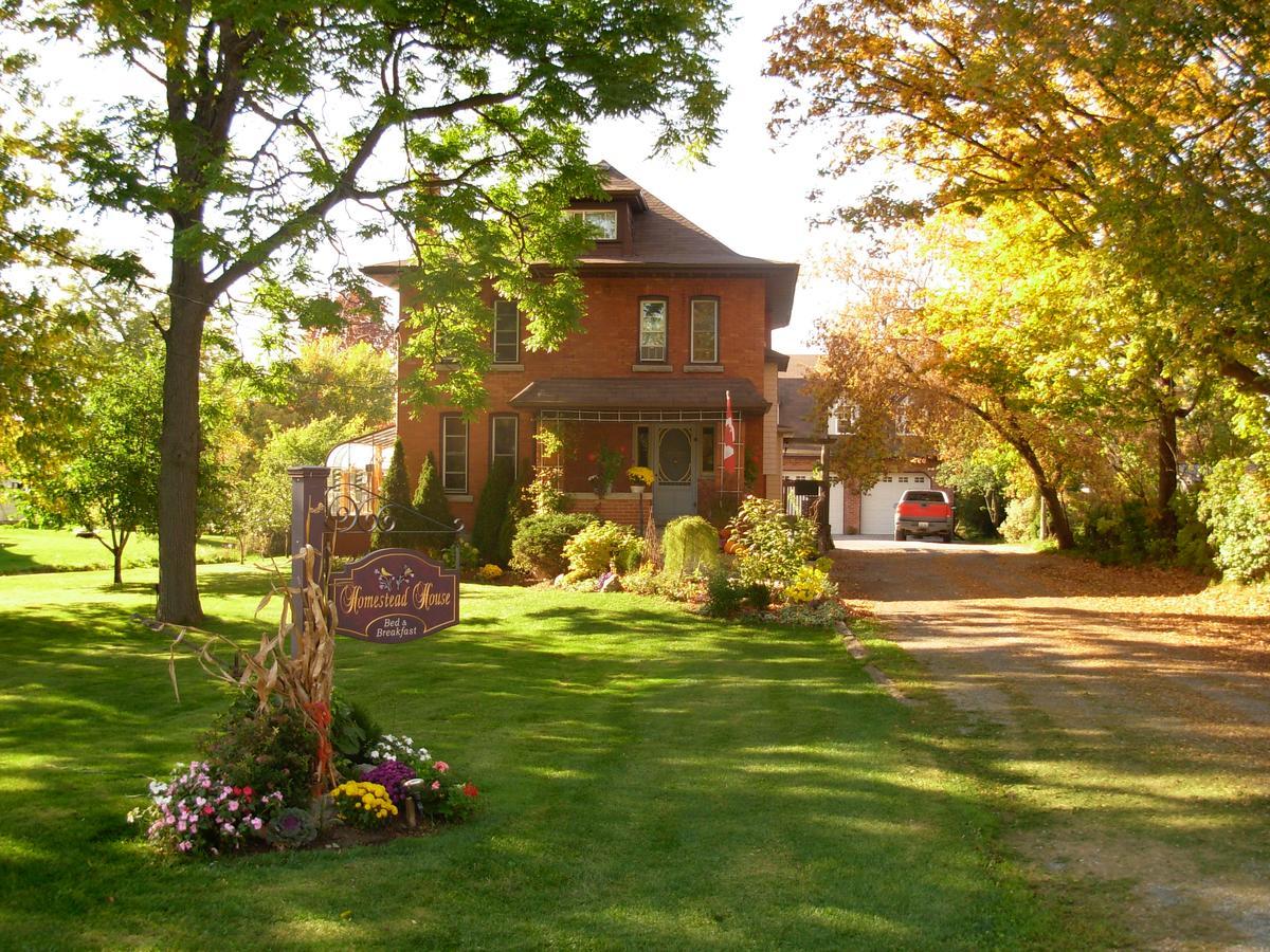 Homestead House B&B Hamilton Buitenkant foto